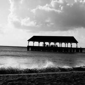 miami 1688 ทดลองเล่นสล็อต เว็บตรง แจ็คพอตโปรเกรสซีฟ ใหญ่มาก